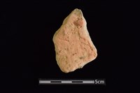 藏品(陶片)的圖片