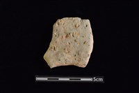 藏品(陶片)的圖片