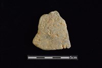 藏品(陶片)的圖片