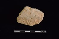 藏品(陶片)的圖片