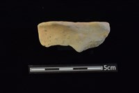 藏品(圈足)的圖片