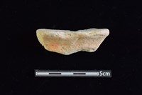 藏品(陶罐)的圖片