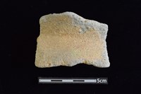 藏品(陶罐)的圖片