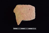 藏品(陶片)的圖片