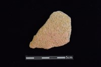 藏品(陶片)的圖片