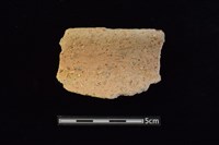 藏品(陶罐)的圖片