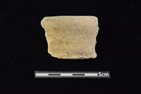 藏品(陶罐)的圖片