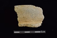 藏品(陶罐)的圖片