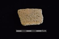 藏品(陶罐)的圖片