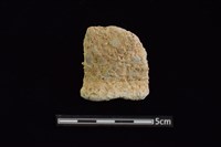 藏品(陶罐)的圖片