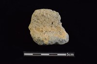 藏品(陶罐)的圖片