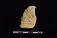 藏品(陶罐)的圖片