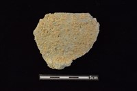 藏品(陶罐)的圖片