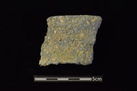 藏品(陶片)的圖片