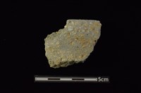 藏品(陶罐)的圖片