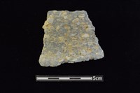 藏品(陶罐)的圖片