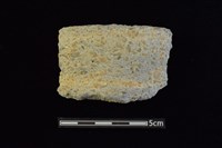 藏品(陶罐)的圖片