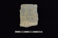 藏品(陶罐)的圖片