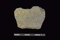 藏品(陶罐)的圖片