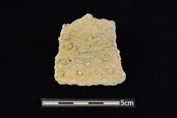 藏品(陶罐)的圖片