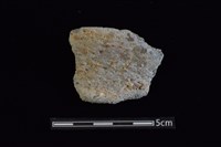 藏品(陶罐)的圖片