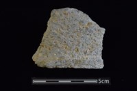 藏品(陶罐)的圖片