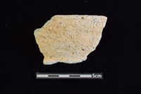 藏品(陶罐)的圖片