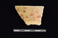 藏品(陶罐)的圖片