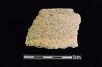 藏品(陶罐)的圖片