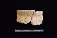 藏品(陶罐)的圖片