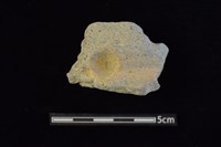 藏品(陶罐)的圖片