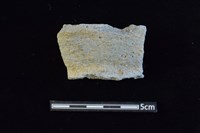 藏品(陶罐)的圖片