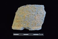 藏品(陶罐)的圖片