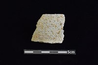 藏品(陶罐)的圖片