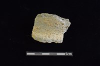 藏品(陶罐)的圖片