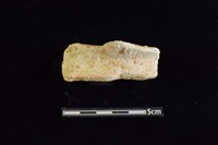 藏品(陶罐)的圖片