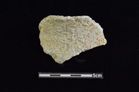 藏品(陶罐)的圖片