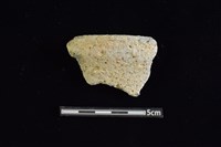 藏品(陶片)的圖片