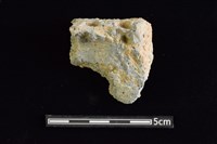 藏品(陶缽)的圖片