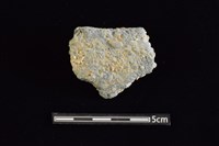 藏品(陶缽)的圖片