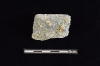 藏品(陶缽)的圖片