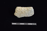 藏品(陶缽)的圖片