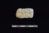 藏品(陶缽)的圖片