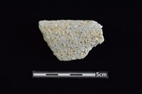 藏品(陶缽)的圖片