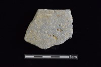 藏品(陶缽)的圖片