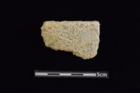 藏品(陶缽)的圖片