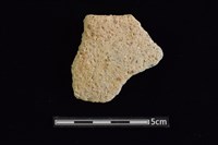 藏品(陶缽)的圖片