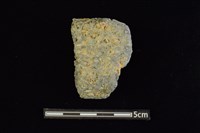 藏品(陶罐)的圖片