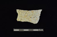 藏品(陶罐)的圖片