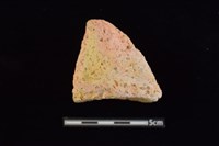 藏品(陶缽)的圖片